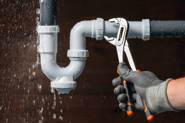 Professional Plumbing technician working in Oreana, IL